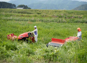 除草・維持管理工事